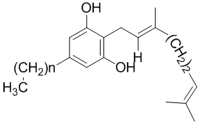 cphi